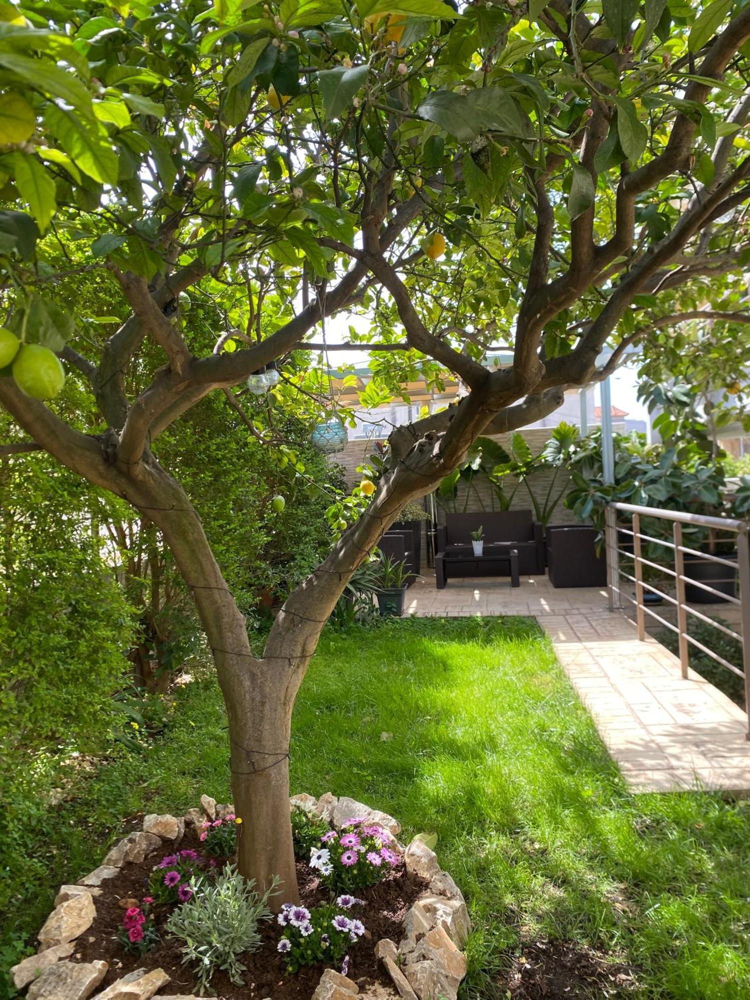 Apartment Near Athens Airport, Rafina Port And Sea Луца Экстерьер фото